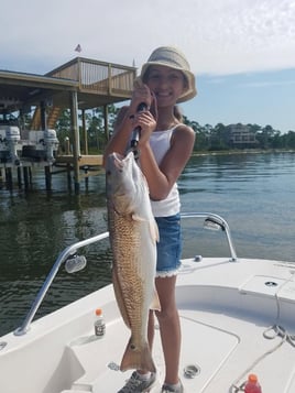 Inshore Fishing Trip