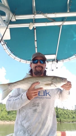 Striped Bass Trip