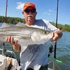 Striped Bass Trip