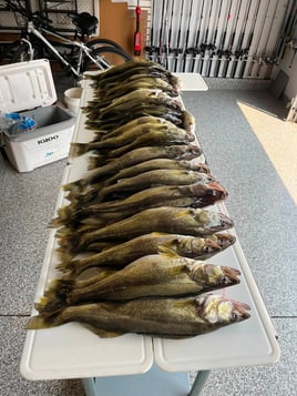 Walleye Trip