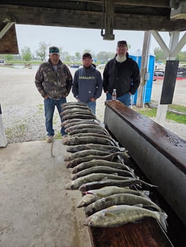 Walleye Trip