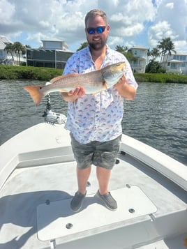 Inshore Fishing 4 Hours 