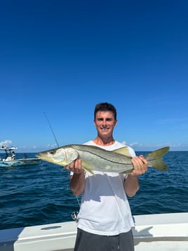 Inshore Fishing 4 Hours 