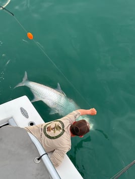 Tarpon Fishing 