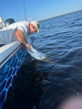Tarpon Fishing 