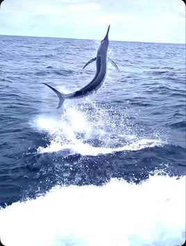 Offshore To The Deep Blue