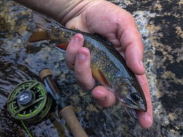 Wade Fishing Trip
