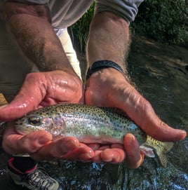 Wade Fishing Trip