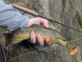 Wade Fishing Trip