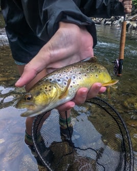Wade Fishing Trip