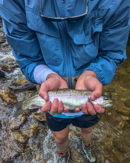 Wade Fishing Trip