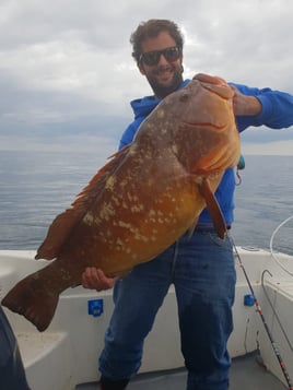 Bottom Fish Canary Island