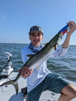 Nearshore Fishing Sarasota