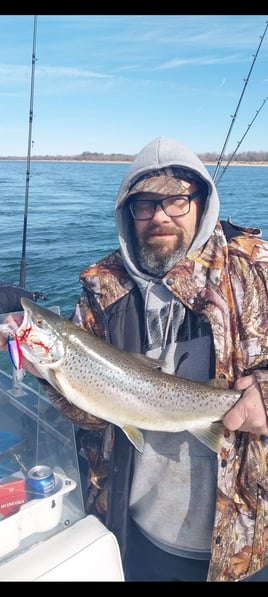 Salmon, Trout & Freshwater Fishing