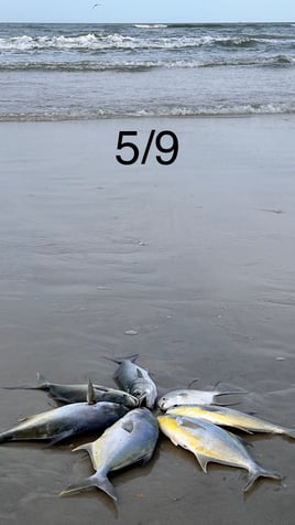 Pompano+Drum 3 Hour