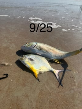 Pompano+Drum 3 Hour