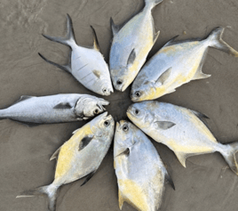 Pompano+Drum 3 Hour