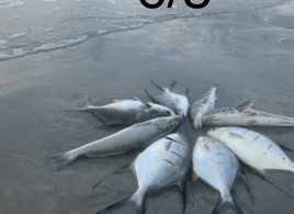 Pompano+Drum 3 Hour
