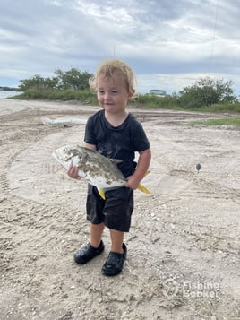 Pompano+Drum+Shark 3 Hour