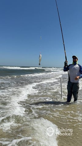 Pompano+Drum+Shark 3 Hour