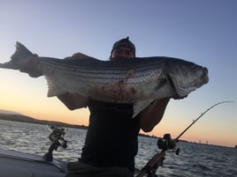 Striped Bass (Private)
