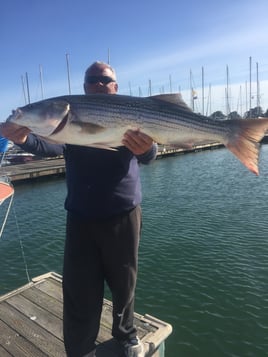 Striped Bass (Private)