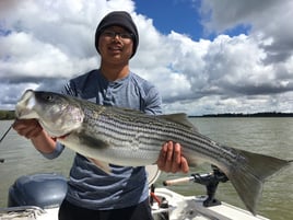 Striped Bass (Private)