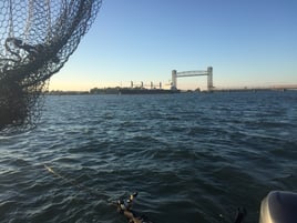 King Salmon Delta 