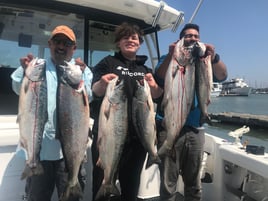 King Salmon Delta 