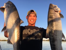 King Salmon Delta 