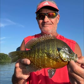 Panfish And Bass Fishing Trip