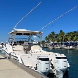 Sandbar Trip