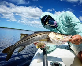 Palm Bay Daytime Trips