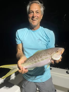 3 Hr Evening Reef And Wreck Fishing