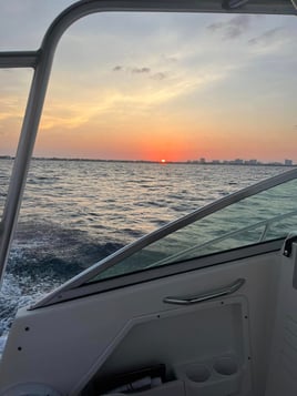 Cruise & Sightsee