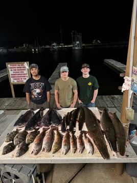Night Time Bowfishing! 