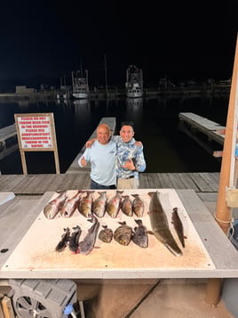 Night Time Bowfishing! 
