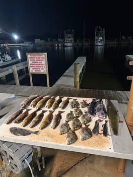 Night Time Bowfishing! 