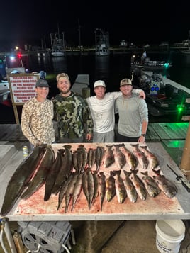 Night Time Bowfishing! 