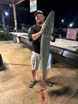 Night Time Bowfishing! 