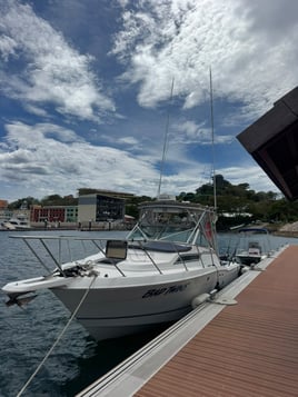 Halfday Sportfishing & Snorkeling