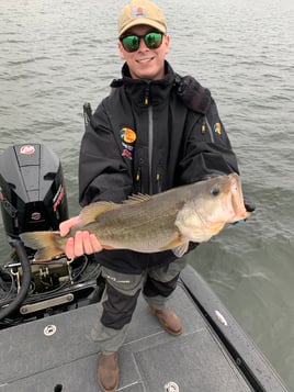 Reel Time On Fayette County Lake