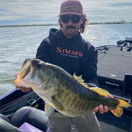 Bass Fishing Trip