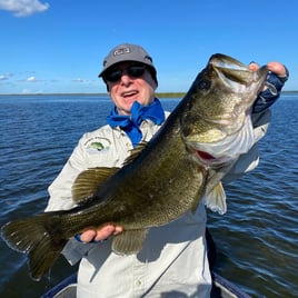 Bass Fishing Trip
