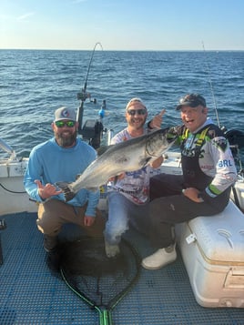 Trout & Salmon Trolling