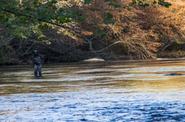 Wade Fishing Trip