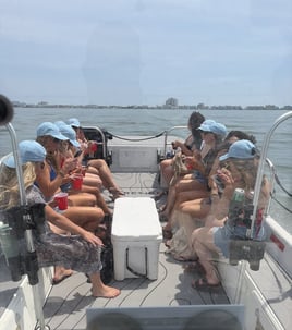 Assateague Island Wild Pony Tour