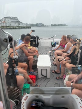 Assateague Island Wild Pony Tour