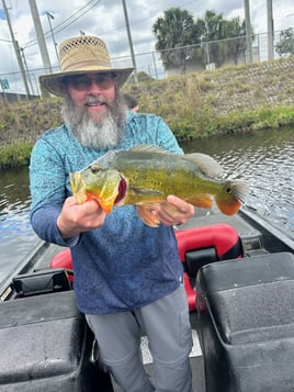 Fishing Adventure