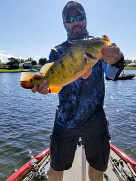 Fishing Adventure
